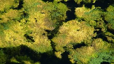 DéfifotoTransparence, rejets tome 2