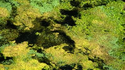 DéfifotoTransparence, rejets tome 1