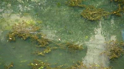 DéfifotoTransparence, rejets tome 1