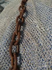 SETE 250911 386 (1632 x 1224).jpg