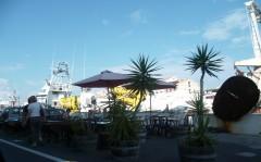 SETE 250911 375 (1632 x 1224).jpg