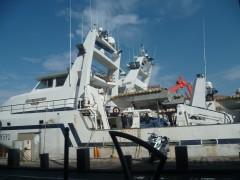 SETE 250911 380 (1632 x 1224).jpg