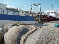 SETE 250911 382 (1632 x 1224).jpg