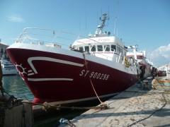 SETE 250911 384 (1632 x 1224).jpg