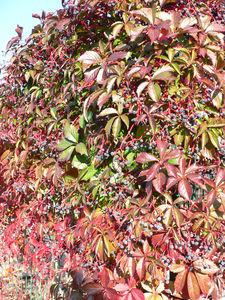 Bourgogne_2__jour_095