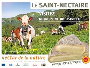 saint-nectaire-2011-2