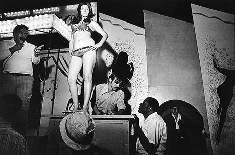 Dig in and follow your instincts and trust your curiosity Quoi d’neuf en photo cette semaine #39