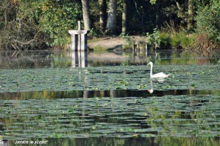 Scène-sur-l'étang-en-Sologne-