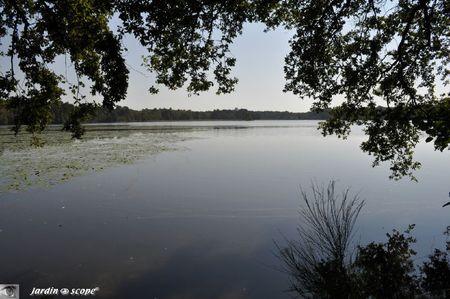 Etang-des-Levrys-41