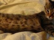 Modestine laissée seule mômesDÉPRESSION