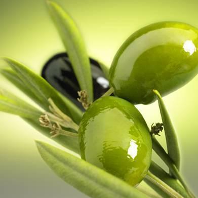 Où Babelio vous invite à choisir votre olive préférée