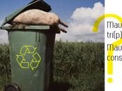 Gossip Urbain Histoire Conscience Ecologique