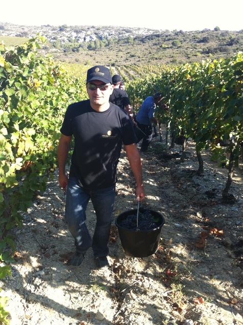 Week end de dégustation de vins chez Gérard Bertrand