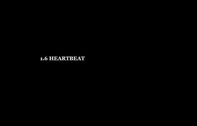 1.6 Heartbeat