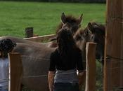 Lay-Saint-Rémy quelques bestioles