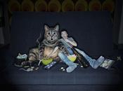 PHOTOGRAPHIE Pierre DUQUOC