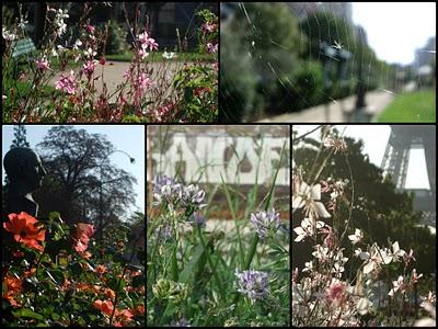 Septembre dans ma cuisine et ailleurs