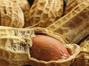 Cacahuète contribue diminuer cholestérol