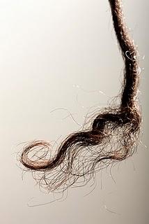 Aborigènes: quand une mèche de cheveux propose une nouvelle histoire