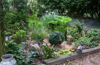 Il y a un an, je m'étais décidée à arracher les péta...