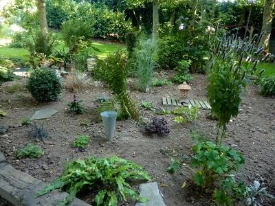 Il y a un an, je m'étais décidée à arracher les péta...