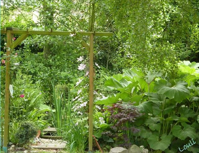 Il y a un an, je m'étais décidée à arracher les péta...