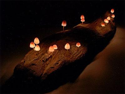 lampe de champignons romantiques fabriquées en bois