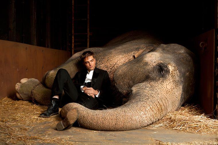 [Avis] De l’eau pour les éléphants un Robert Pattinson bluffant