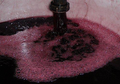 Carignan-Grenache-3.JPG