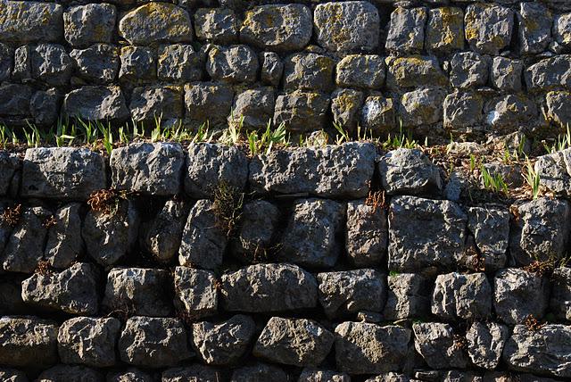 Visite du château d'Allègre