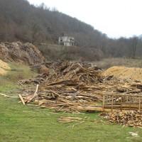 Biomasse: le gouvernement sélectionne quinze projets