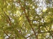 Dans mémoire téléphone dix-septième