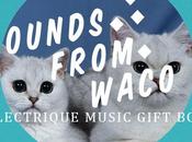 Sounds from waco electrique music gift