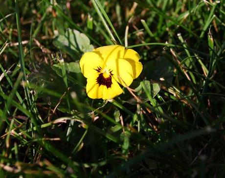 Petite surprise de ce début d’automne…