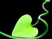 Premiers extraits Lunes" Kami Garcia Margaret Stohl