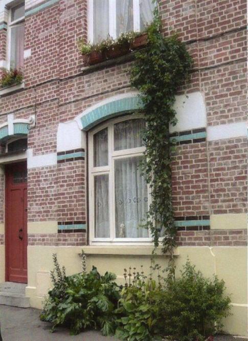 Verdissons les murs du quartier.