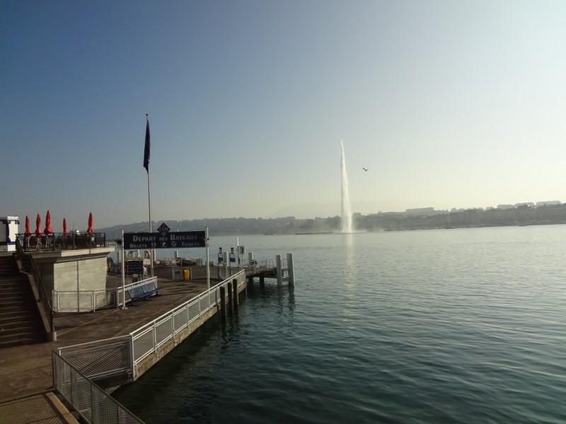DSC06959-ssssss1111.jpg