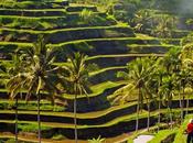 Bali hôtels rêve pour vacances paradisiaques