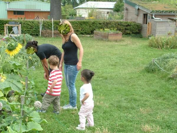 Les cucurbitacées en folie pumpkin