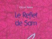 Reflet Gilles Abier