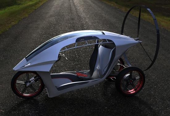 ParaMoto Trike - Zvezdan Nedeljkovic - 5