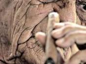 vieux retraités double peine.