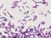 INFECTIONS NOSOCOMIALES: e-SIN, nouvel outil l’Institut veille sanitaire InVS