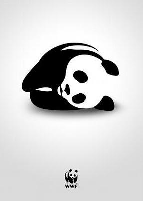 Panda, panda & panda!  //