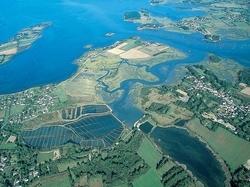 D'ici 100 ans, le Golfe pourrait changer © D. Lédan - SIAGM/Projet de P. N.R. du Golfe du Morbihan