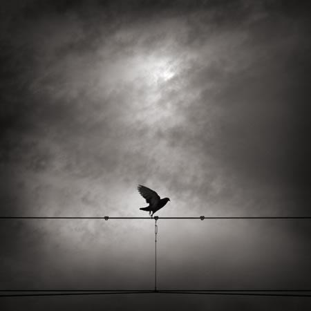 Les lauréats des Zooms 2011