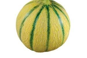 Le onze-type : les melons