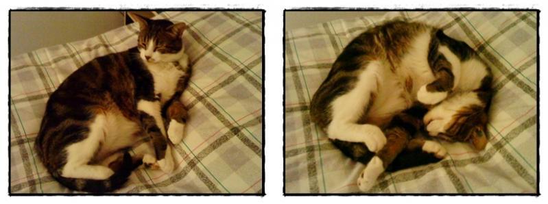 Nous sommes en Lorraine, 8 octobre 2011