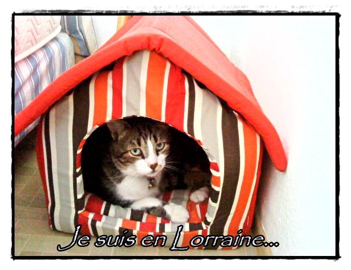 Nous sommes en Lorraine, 8 octobre 2011