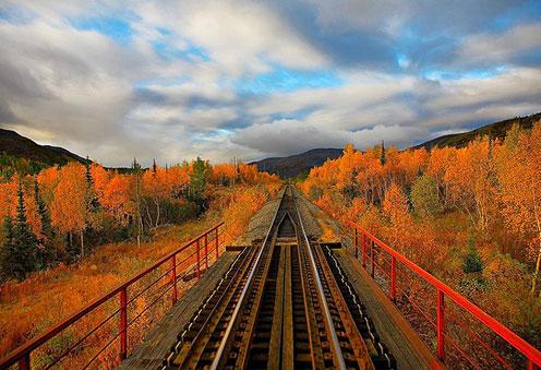 chemin de fer dans la nature photo